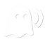 HiddenEcho Logo